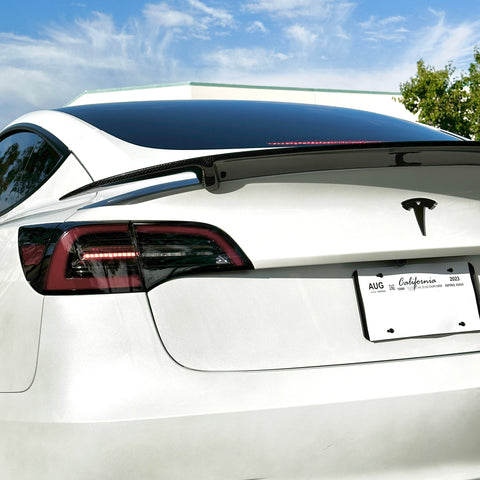 2017-2023 | Model 3 Colossal Rear Wing Spoiler - Real Molded Carbon Fiber